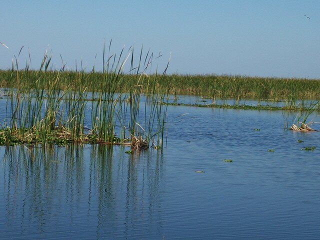 Ловля карася на поплавочную удочку