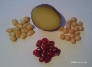 Наживка для карпа