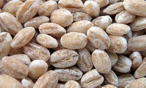 Перловка для рыбалки