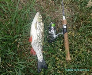 lovlya-na-mikrokolebalki1